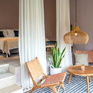 Suite Terrace